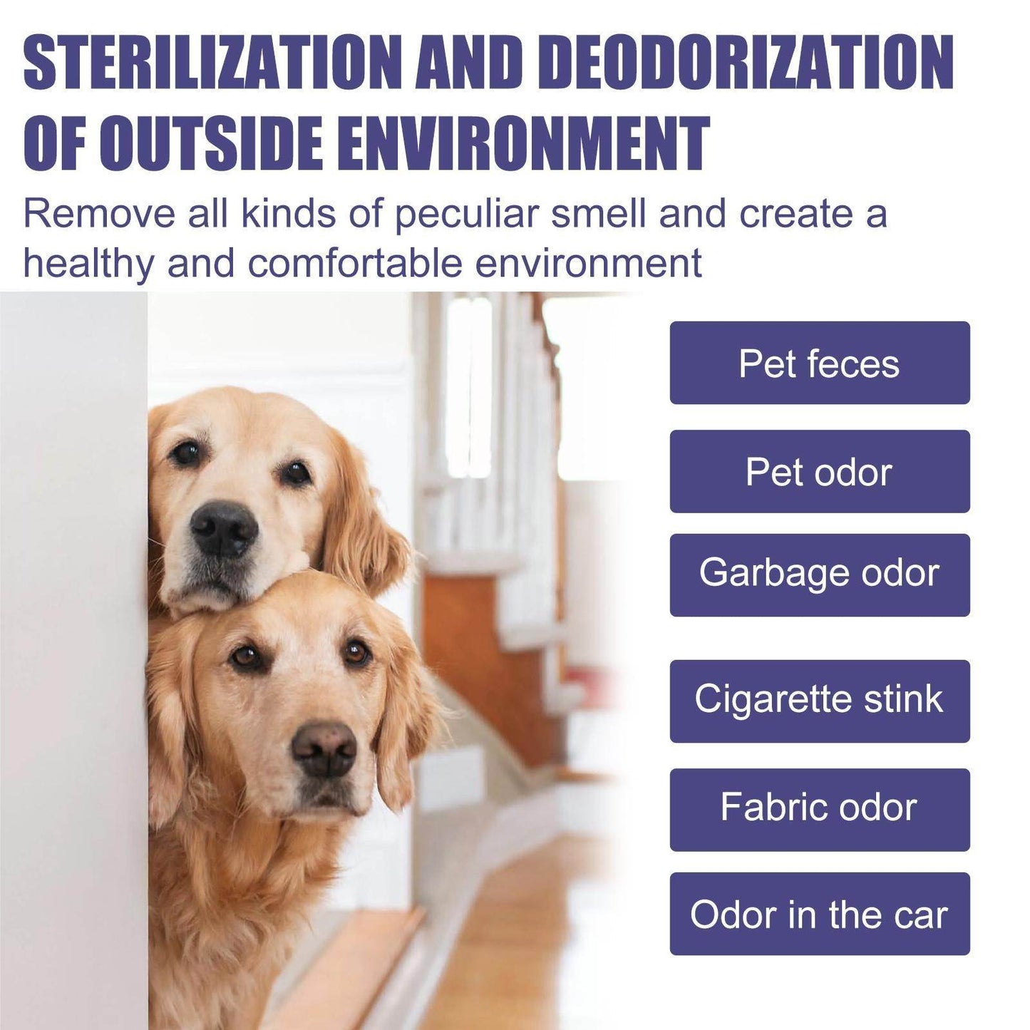 Dogs And Cats Remove Urine Odor, Body Odor, Feces Odor, And Fresh Air - ShopSphere